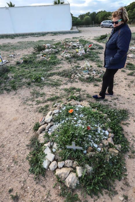 Junto al parque de Lo Albentosa de Torrevieja se extienden fosas y lápidas en una práctica no regulada