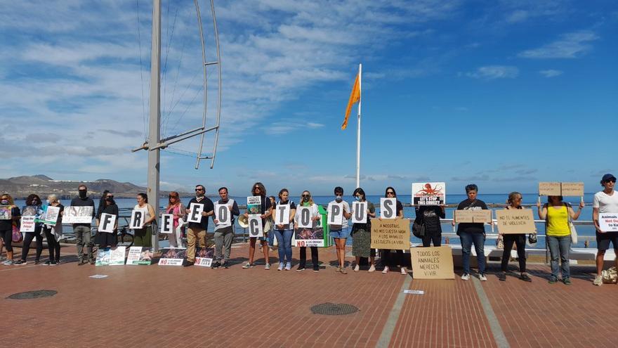 Protestas en todo el mundo contra la granja de pulpos prevista en Canarias