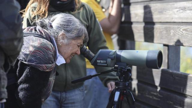 Durante la jornada, una docena de asistentes pudieron observar las aves que pueblan ses Salines.