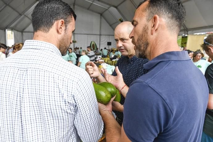 III FERIA DEL AGUACATE