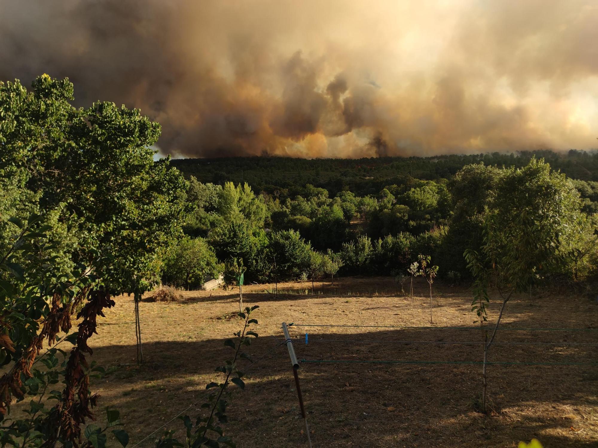 Las espectaculares imágenes del avance del fuego de Trabazos