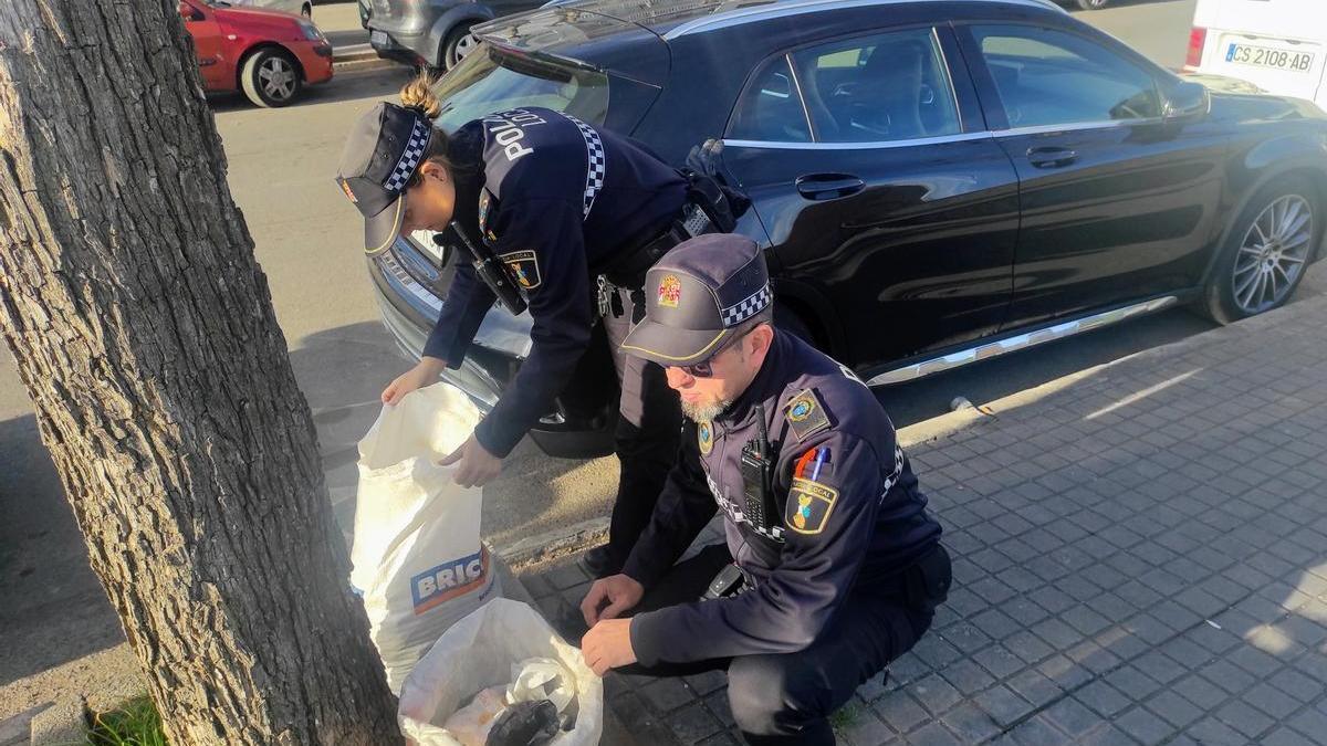 Dos agentes inspeccionan los alrededores de una de las colonias felinas tras el brutal ataque denunciado el martes.