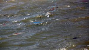 Restos de basura flotan en el agua de la playa de Somorrostro de Barcelona. 