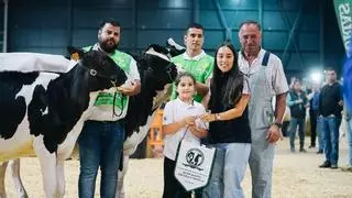 La mejor novilla y ternera de Asturias se crían en esta ganadería de Tineo: la historia de Chanel y Valeria