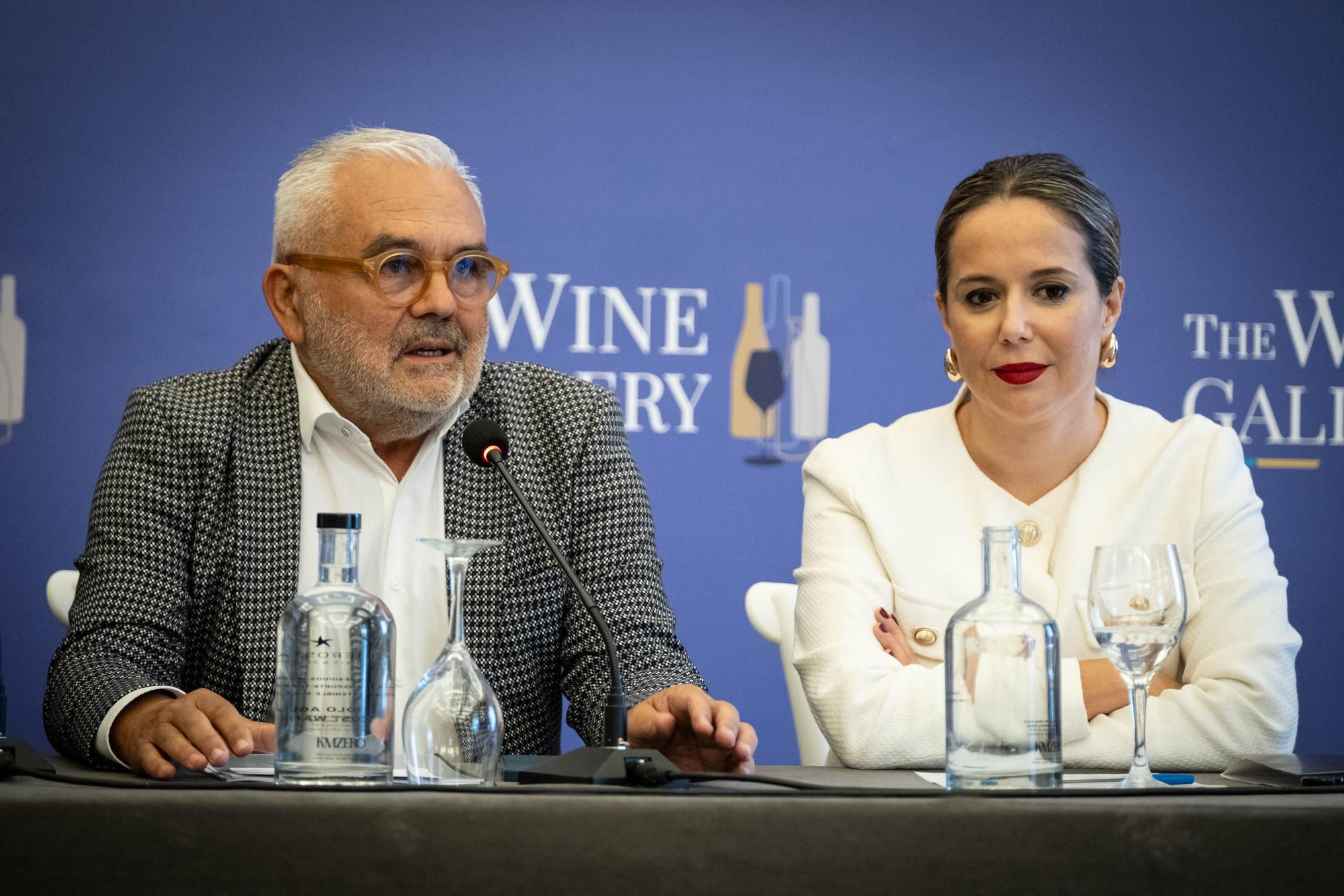 Presentación de The Wine Gallery