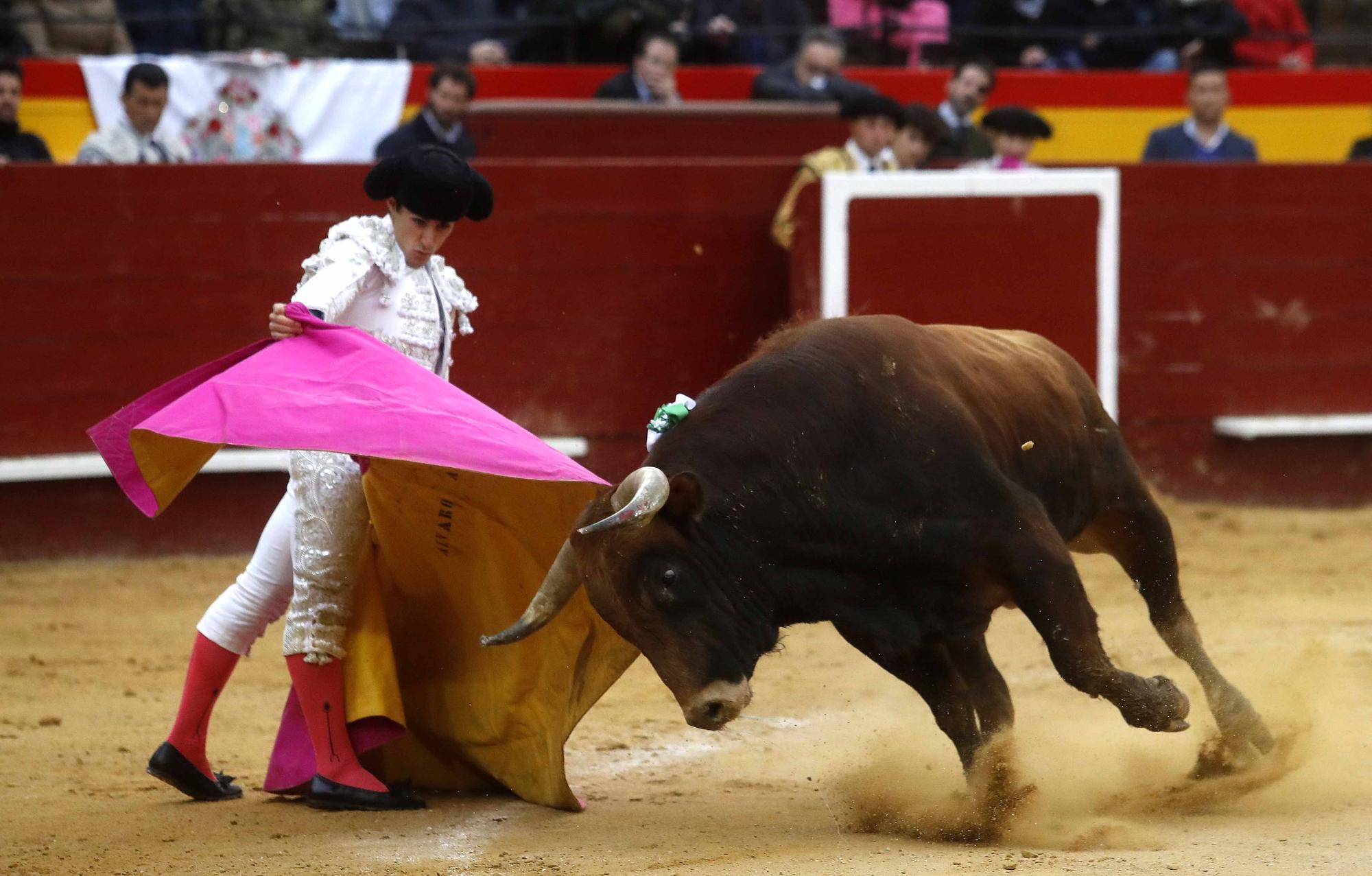 "El Niño de las Monjas", primera puerta grande de Fallas