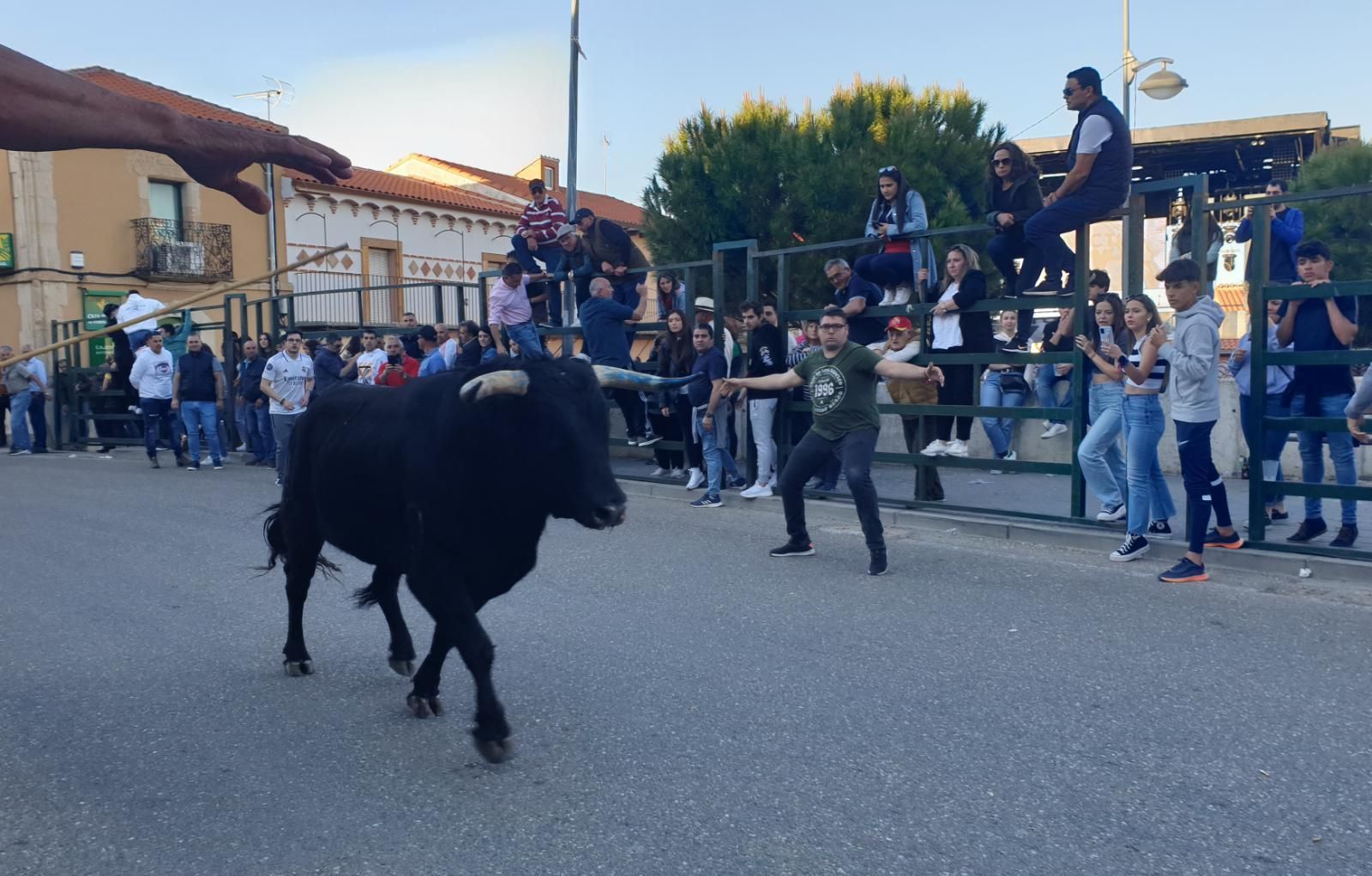 Encierro en la Bóveda de Toro