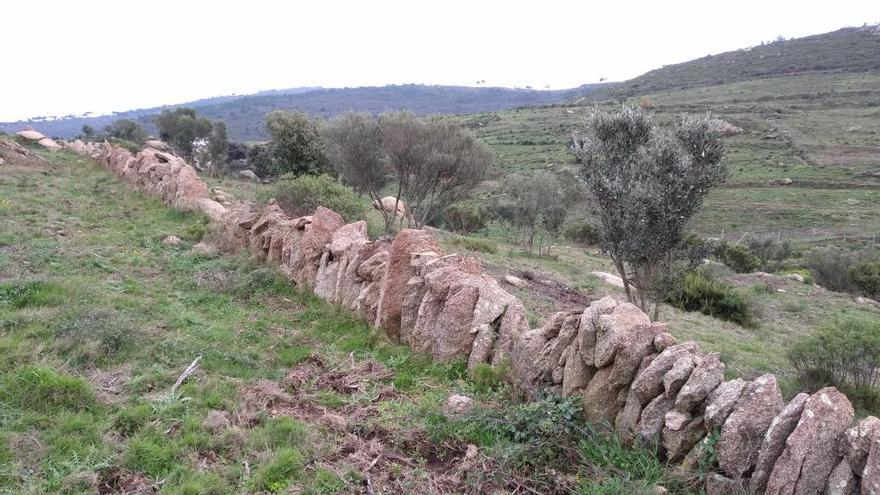 Paratge natural d&#039;interès nacional de la Serra de Rodes