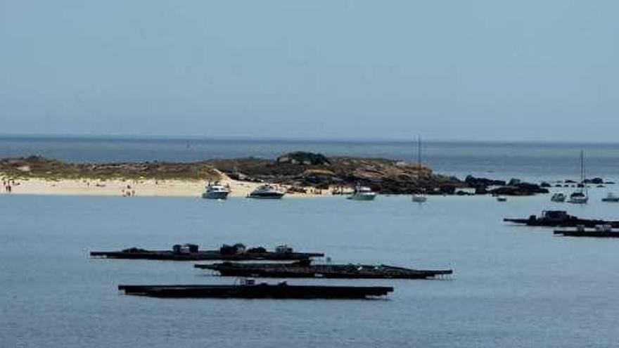 El islote Areoso se encuentra en pleno centro de la ría.  // Iñaki Abella