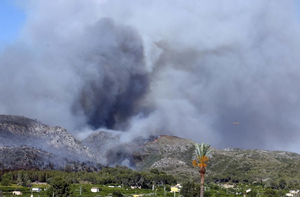 Incendio forestal en Carcaixent