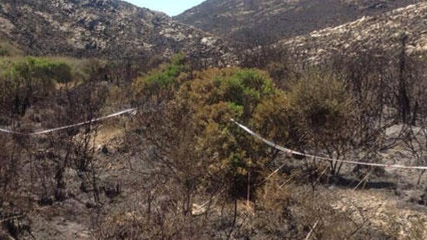 Los equipos de emergencia han lozalizado el punto de inicio del incendio.