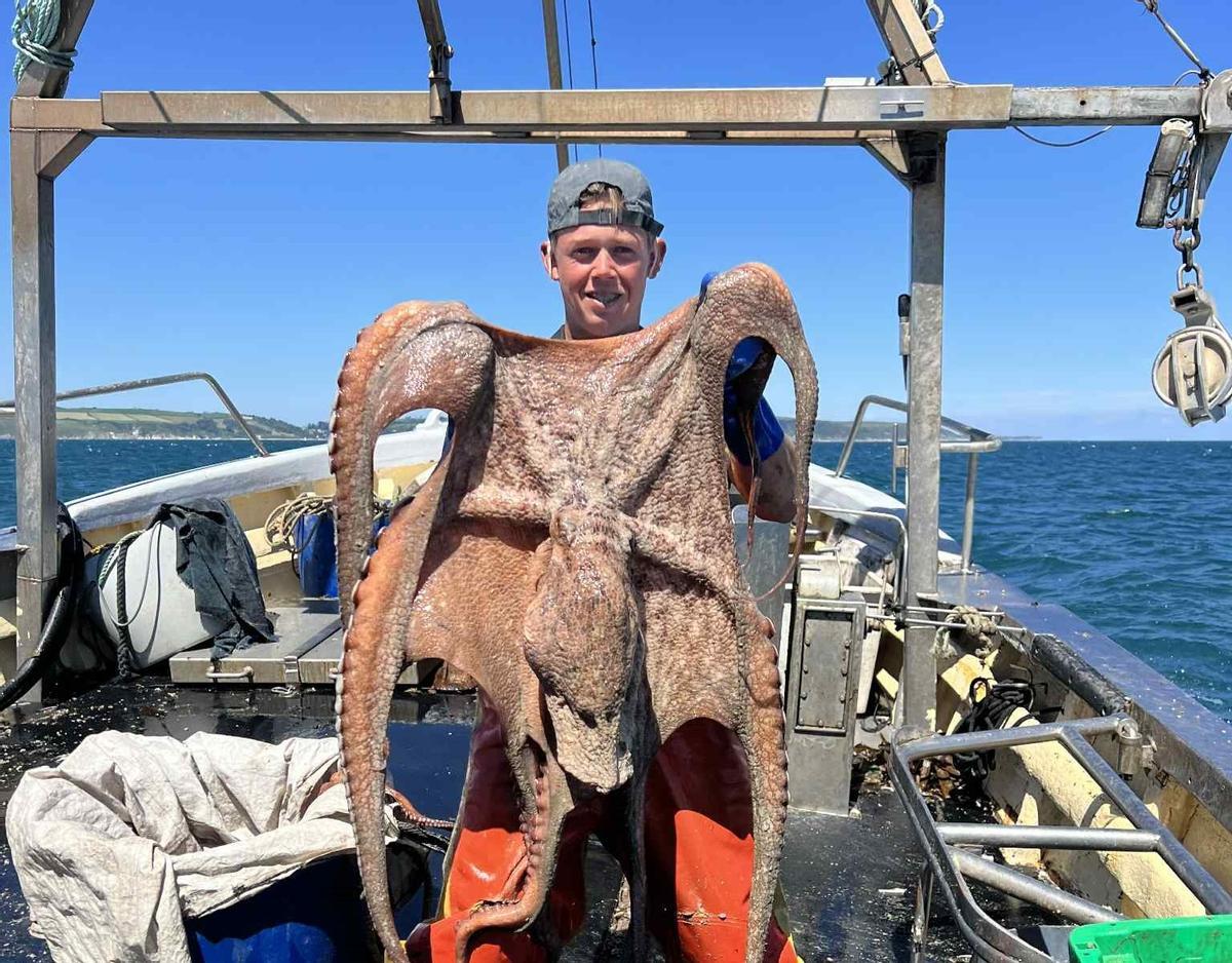 Un perscador del sur de Inglaterra con uno de los pulpos capturados