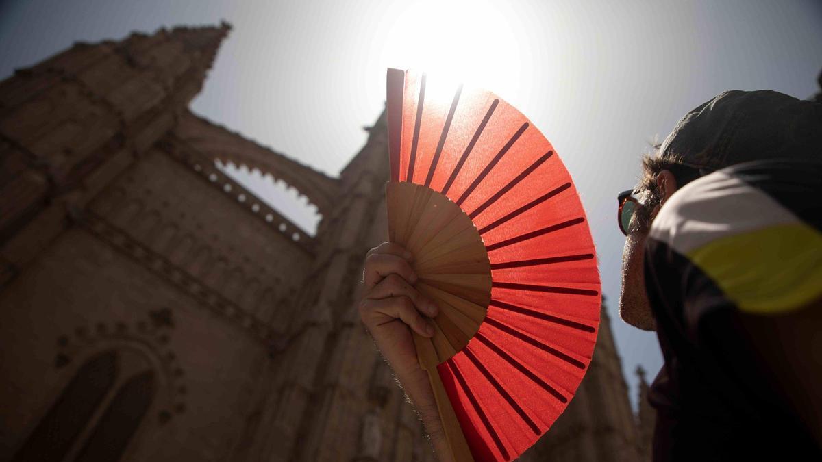 Bis-zu-42-Grad-Hier-wird-es-auf-Mallorca-in-der-neuen-Woche-am-hei-esten