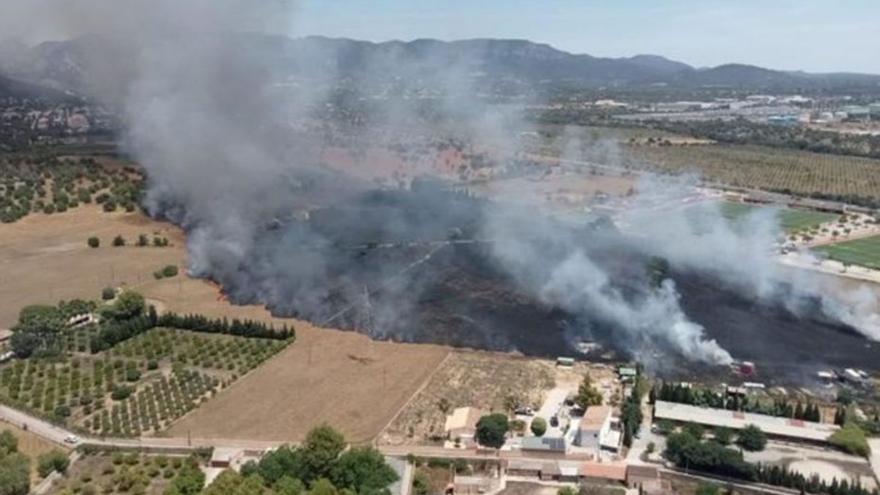 Uno de los últimos incendios hace un mes en Son Sardina.