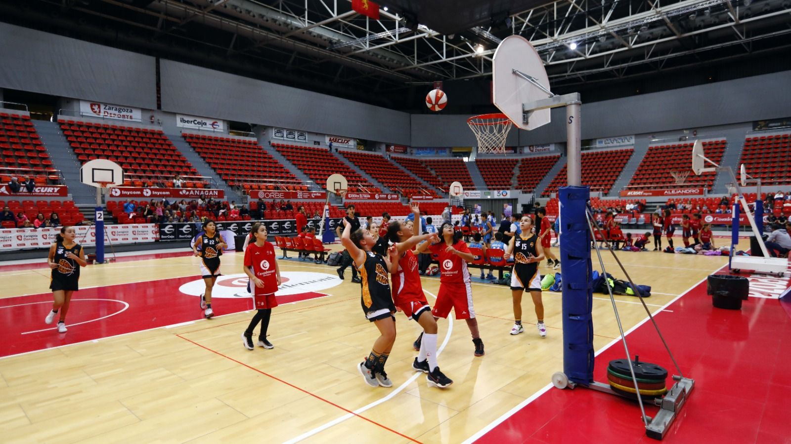 El Día del Minibasket llena el Príncipe Felipe de baloncesto