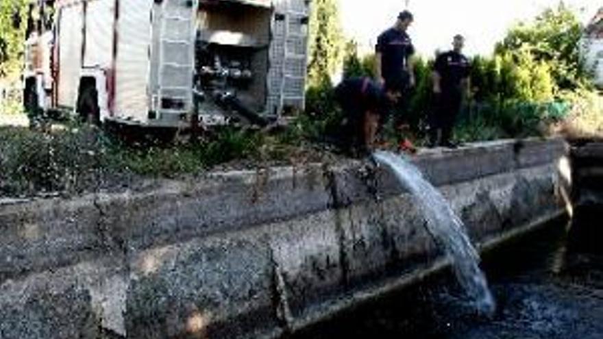 Los bomberos y Dema salvan peces y ranasen la charca de la antigua depuradora