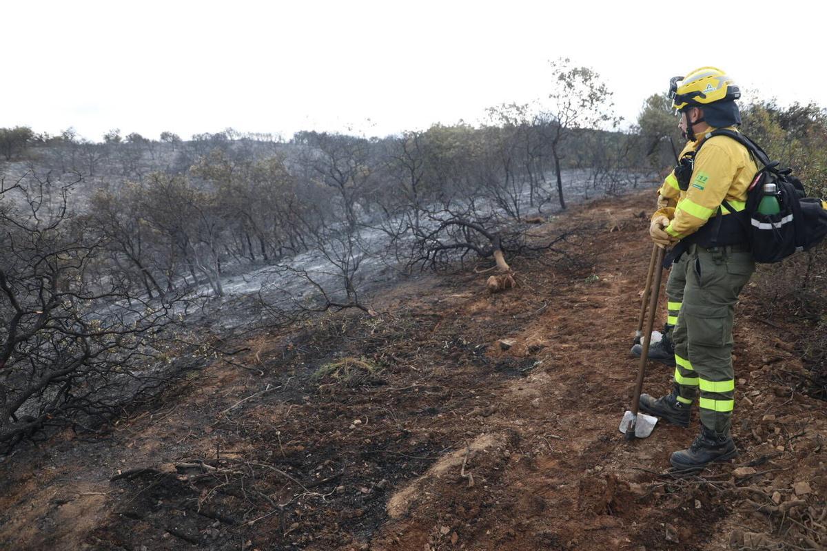 El Infoca trabaja en la extinción del incendio de Las Jaras en la sierra de Córdoba