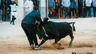 Cogida múltiple de una vaca a varios aficionados en Vilafamés