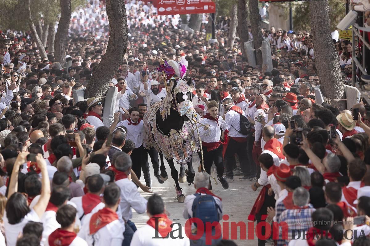 Así se ha vivido la carrera de los Caballos del Vino en Caravaca