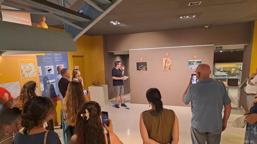 Un viaje al pasado a través del Museo Paleontológico de Elche