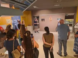 Un viaje al pasado a través del Museo Paleontológico de Elche