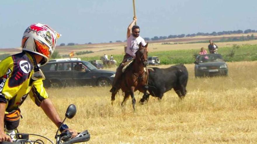 Vehículos de motor y caballistas participaron en el encierro campestre del domingo.