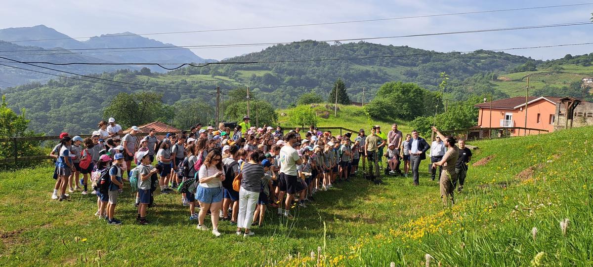 Alumnos del Colegio Loyola, este miércoles, durante una plantación en el área recreativa de Las Cuestas para extender los árboles frutales a las montañas.