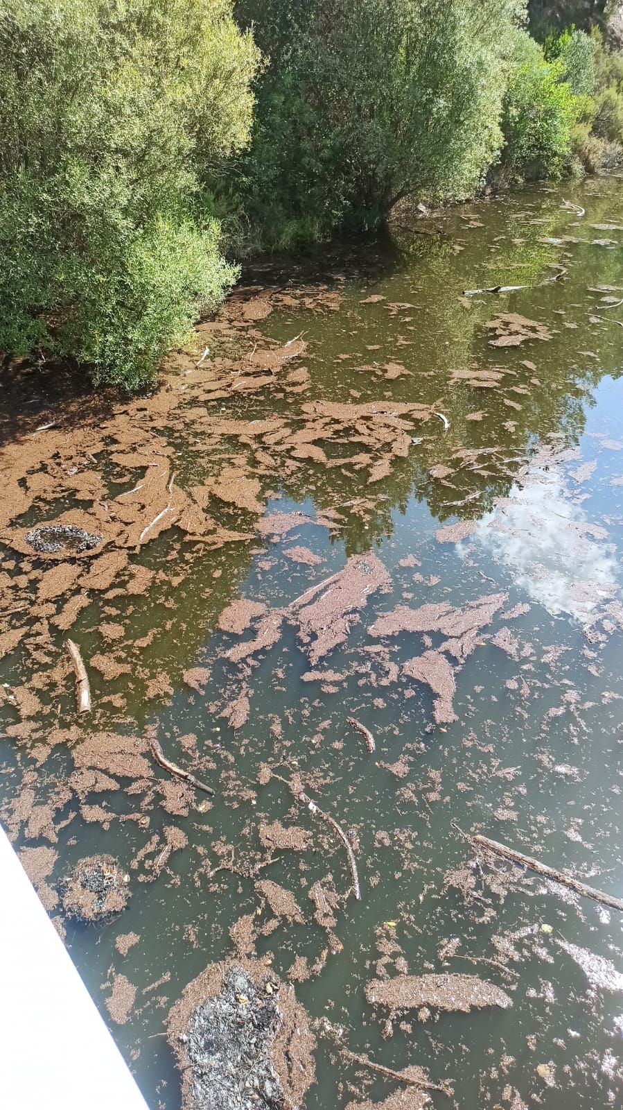 FOTOGALERÍA | Así sale el agua del grifo en Nuñomoral