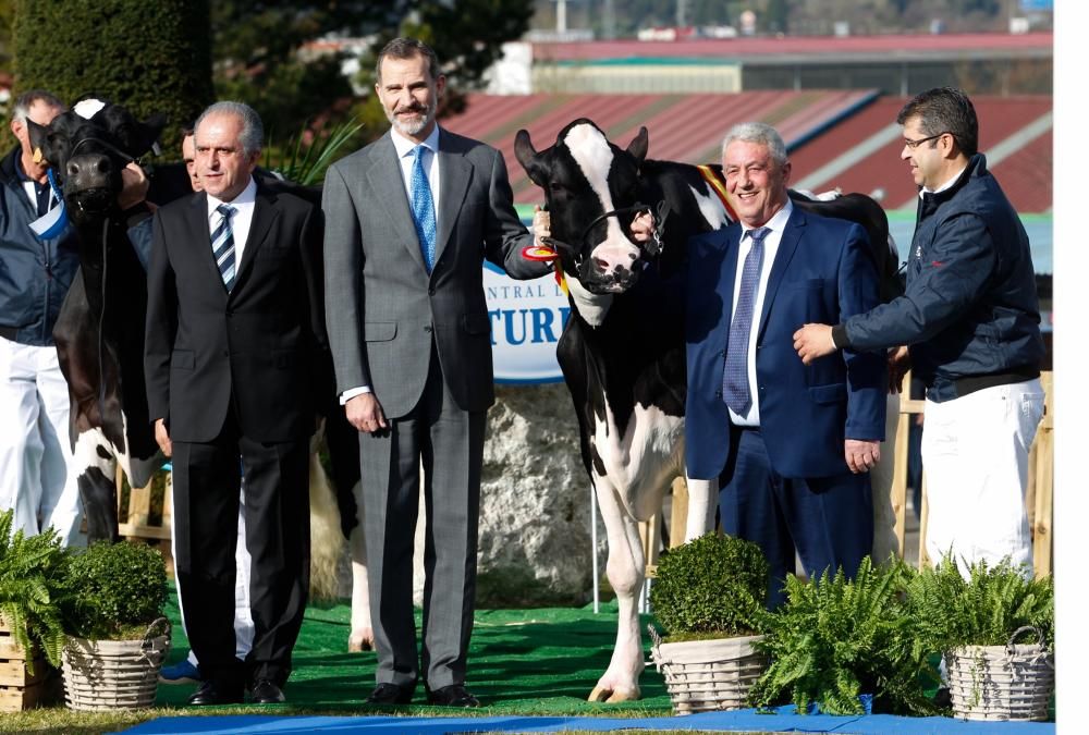 El Rey participa en el 50.º aniversario de Clas