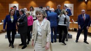 La ministra de Sanidad, María Luisa Carcedo, en el Consejo Interterritorial de Salud. 