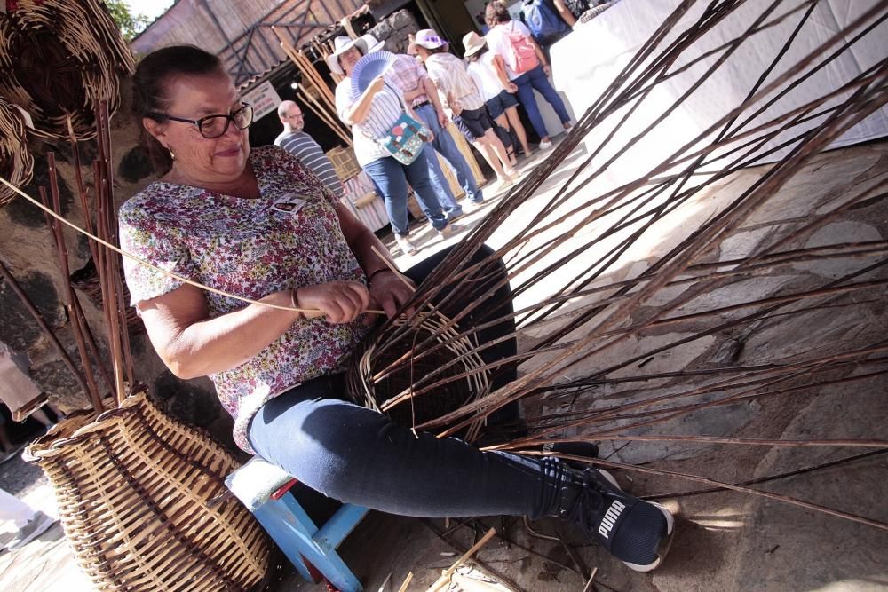 La orotava se llena del sabor de Pinolere