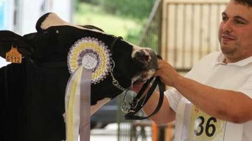 &#039;Blanco Deliña ET&#039;, ternera campeona de la feria.