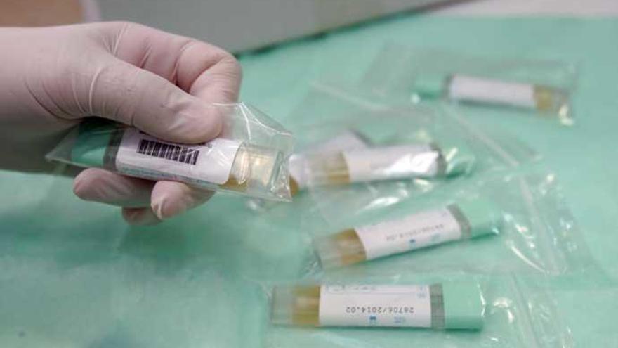 Material empleado para el test de sangre en heces.