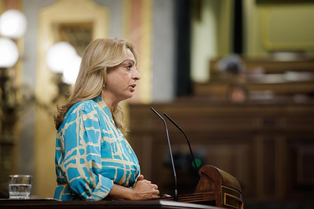 Cristina Valido, durante su intervención en el Congreso.