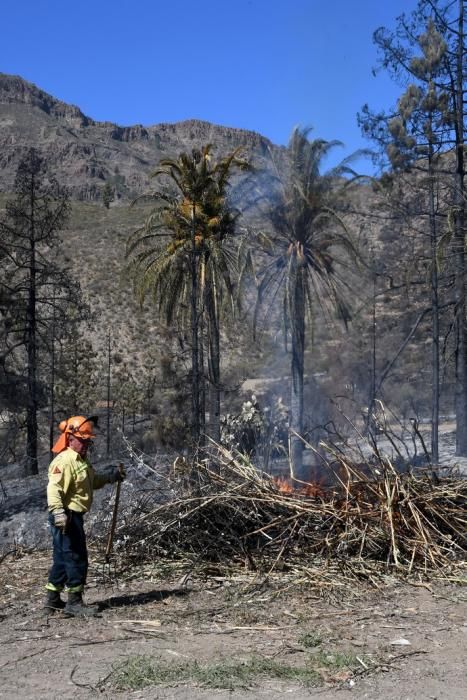 18/03/2019 FATAGA. SAN BARTOLOME DE TIRAJANA.  Incendio en Fataga, en la Finca Rural, Molino de Agua. Fotografa: YAIZA SOCORRO.  | 18/03/2019 | Fotógrafo: Yaiza Socorro