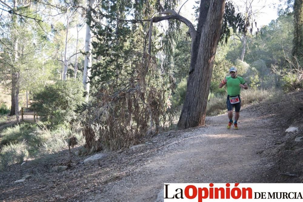 San Jorge Dragon en La Alcayna