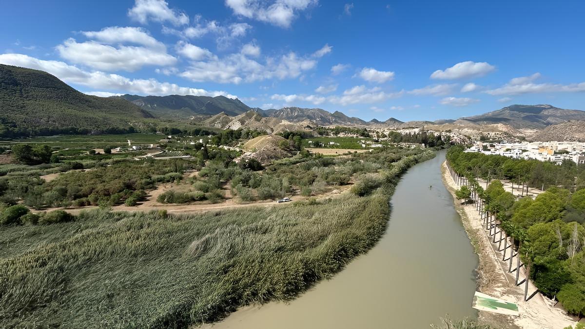 El Segura a su paso por Blanca