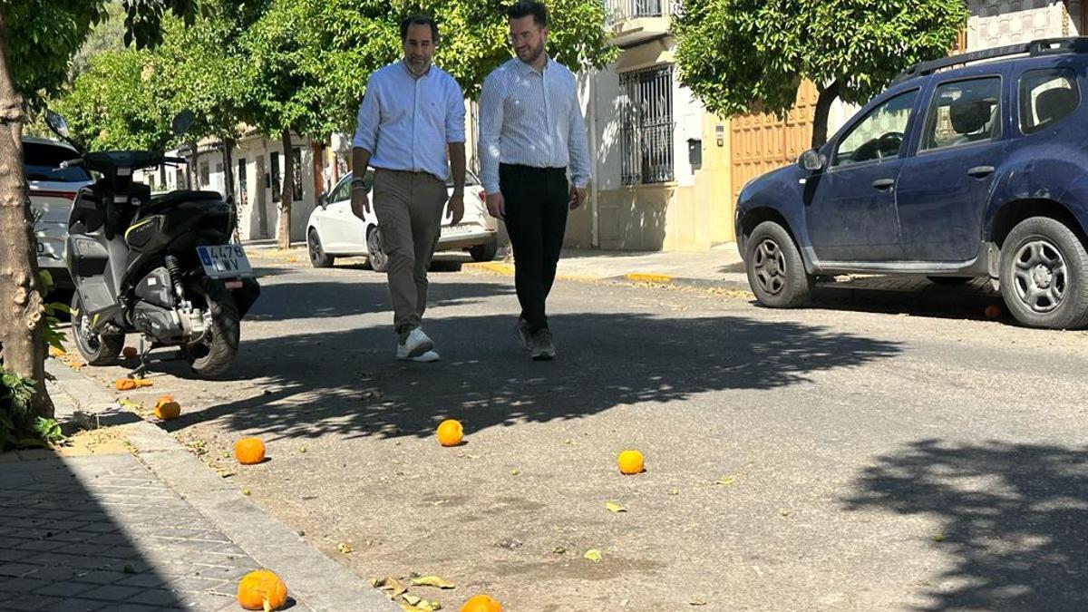 Hidalgo recorre una calle de Cañero con naranjas sin recoger en el suelo