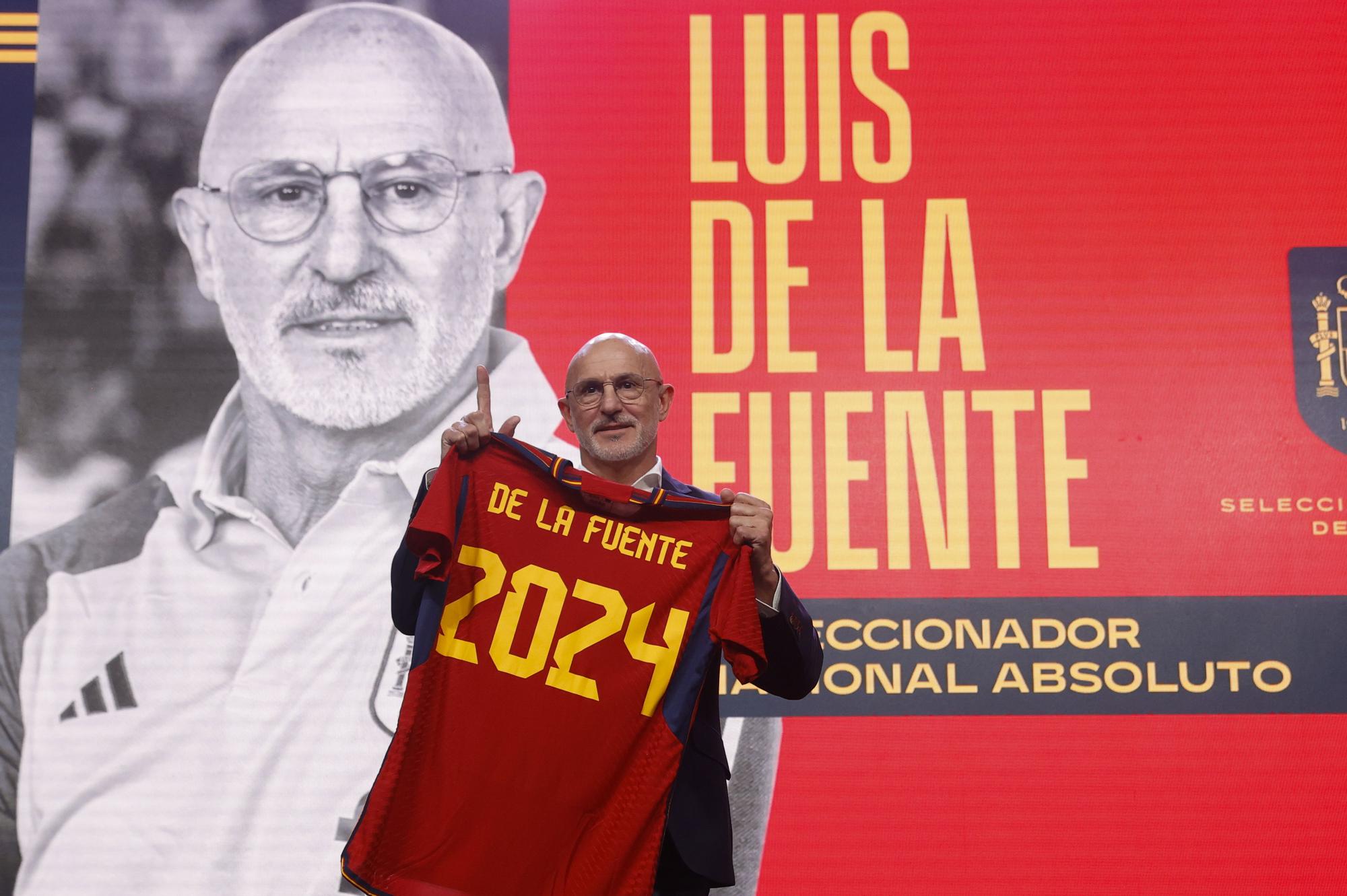 Seleccionados por luis de la fuente