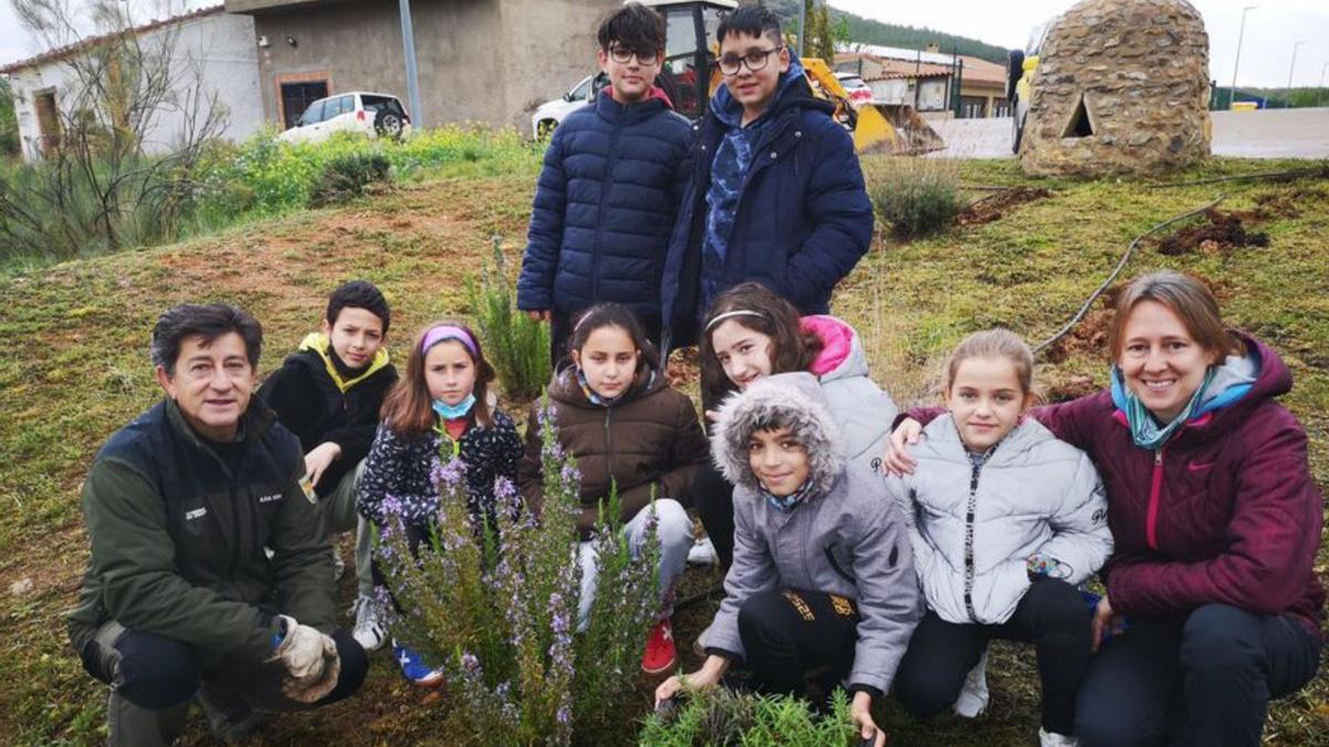 Se realizó una pequeña plantación en los jardines de la escuela. | SERVICIO ESPECIAL