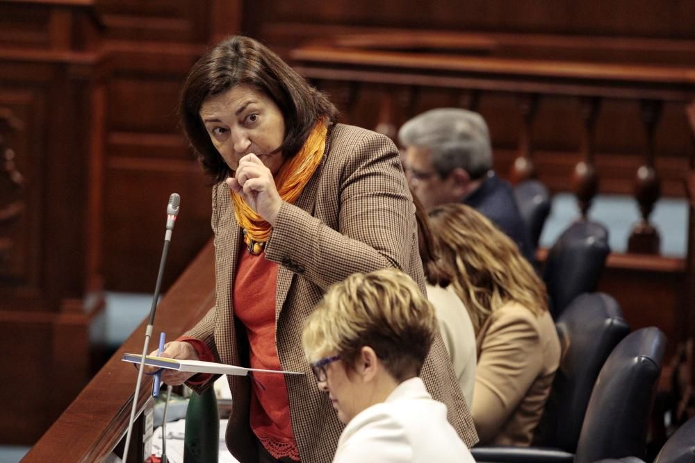 Pleno en el Parlamento de Canarias.