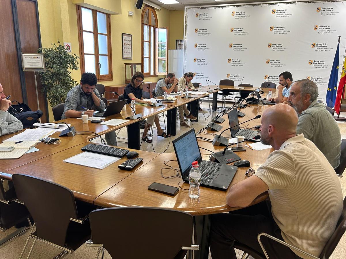 Mesa del sector del almendro, en la reunión de la conselleria.