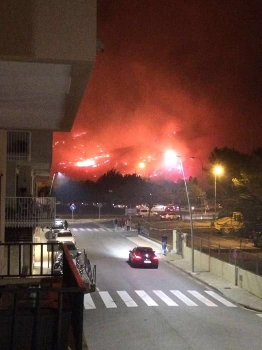 Waldbrand Pollença Mallorca