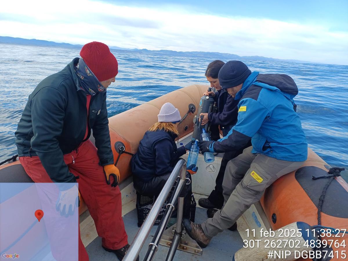 Una imaxe d'archivu d'una recoyida d'amueses.