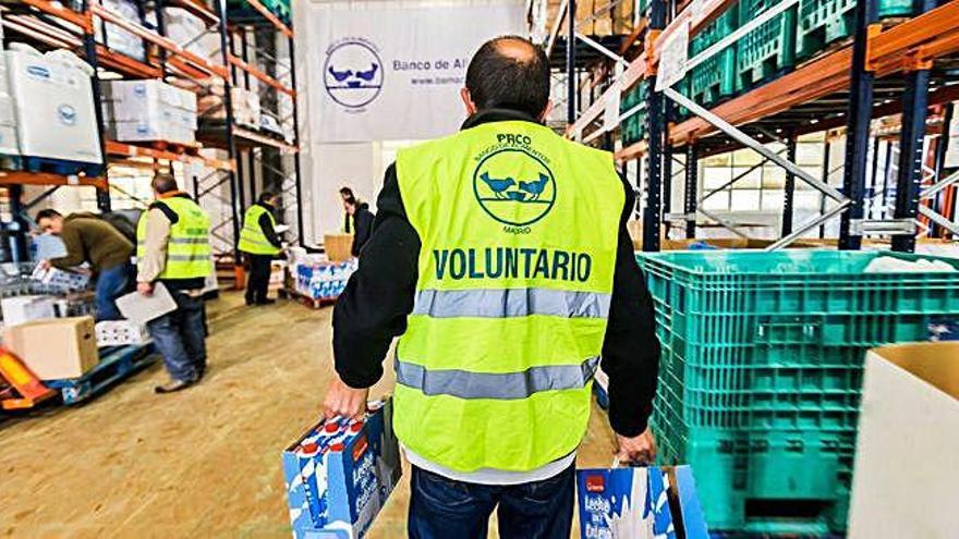 Varios voluntarios desarrollan su labor en el Banco de Alimentos de Zamora.