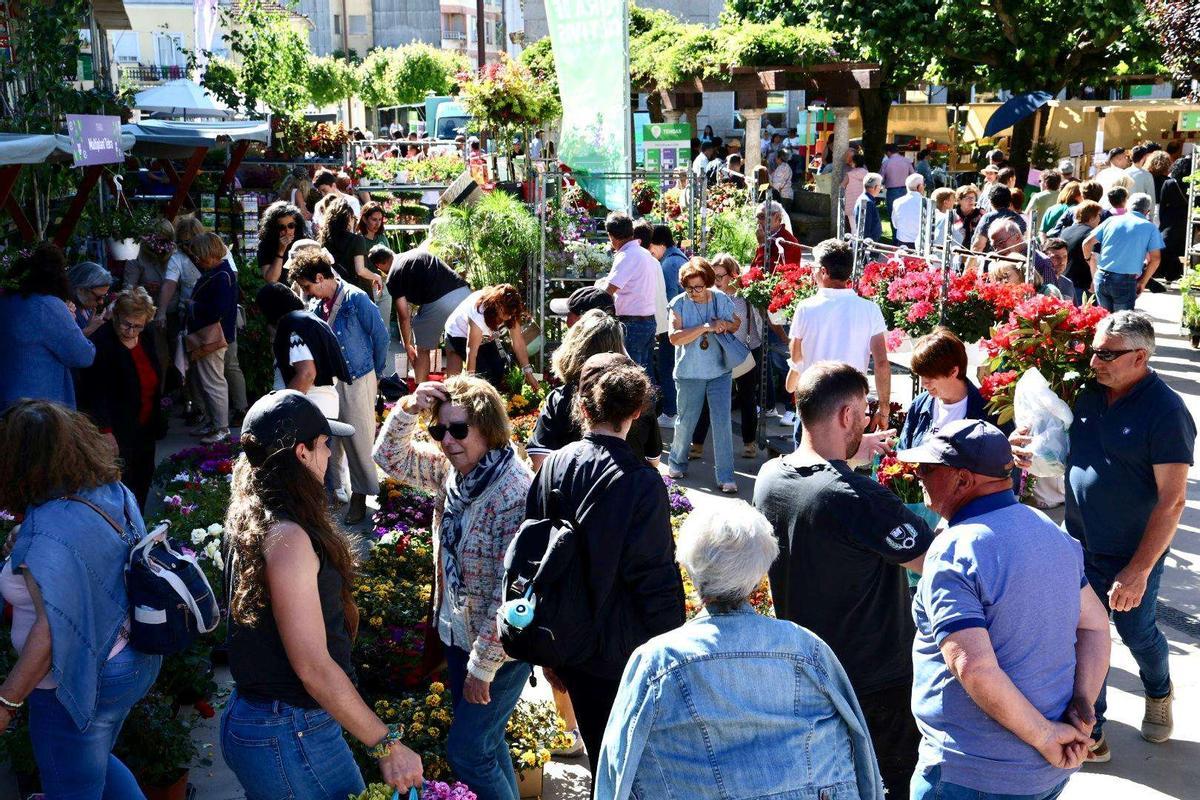 Profesionais, empresas e público xeral comparten experiencias na Feira de Cultivos do Baixo Miño.