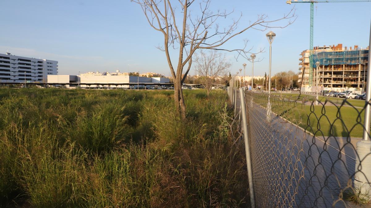 Terrenos solicitados por Funlabor para la residencia de discapacitados.