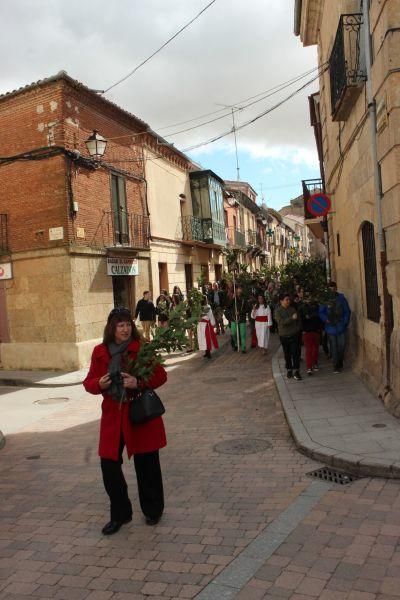 Procesión de Santa María en Fuentesaúco