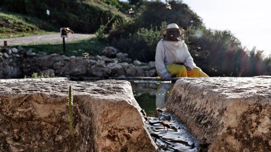 &#039;Fuente de las pilas&#039;, de José Barranco Peña, mejor fotografía de Alimentación