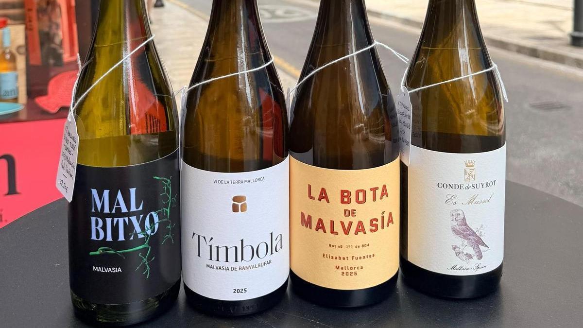 Algunos de los vinos de la cata.